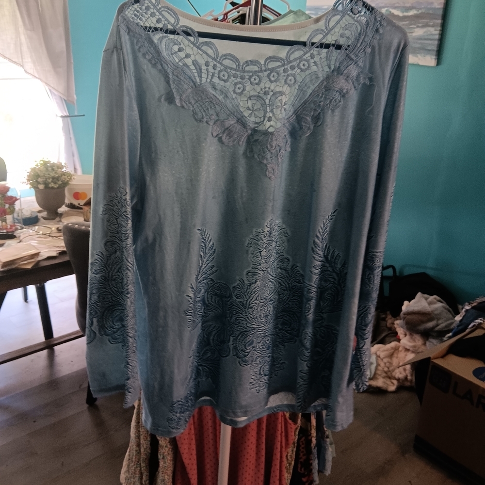Blue Lace Embroidered Top